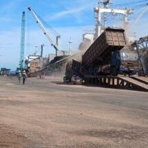 Debu PKM Kembali Membumbung di Pelabuhan Dumai, Fakta Lapangan Pertanyakan Efektivitas Mitigasi Polusi